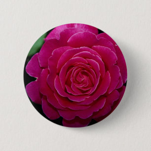 Badge Rond 5 Cm Beau rose de thé hybride 'Tiffany'leaves