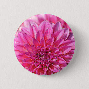 Badge Rond 5 Cm Beautiful pink dahlia flower blossoms