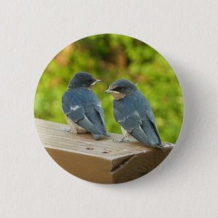 Badge Rond 5 Cm Bébé Grange hirondelle Nature Oiseau Photographie