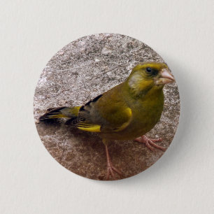 Badge Rond 5 Cm Belle Finche