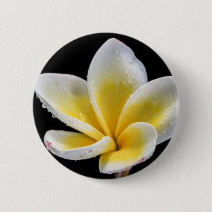 Badge Rond 5 Cm Belle fleur blanc-jaune de Plumeria