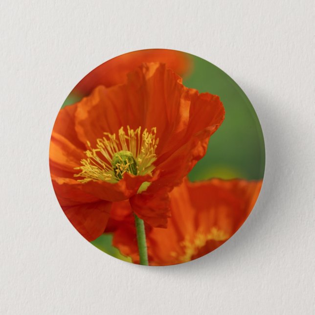 Badge Rond 5 Cm Belle Pavot Rouge (Devant)