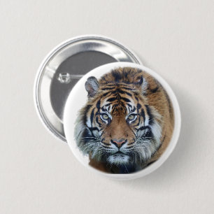 Badge Rond 5 Cm Belle photo du visage du tigre du Bengale