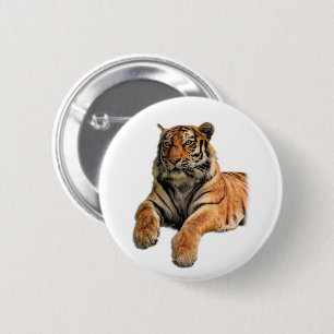 Badge Rond 5 Cm Belle photo Tigre du Bengale Visage et pattes