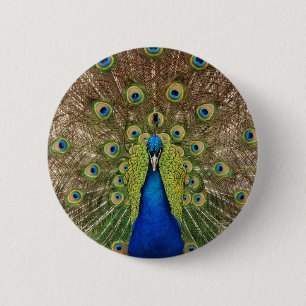 Badge Rond 5 Cm Belle plumes de paon et de queue