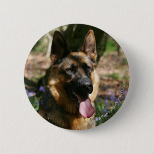 Badge Rond 5 Cm Berger Allemand