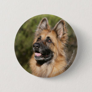Badge Rond 5 Cm Berger allemand aux cheveux longs 1