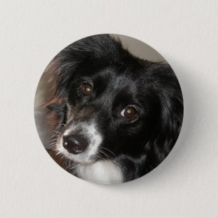 Badge Rond 5 Cm Berger australien