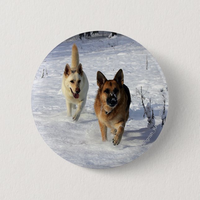 Badge Rond 5 Cm Bergers allemands courant dans la neige (Devant)
