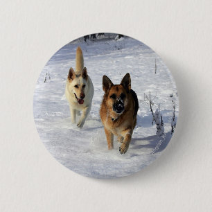 Badge Rond 5 Cm Bergers allemands courant dans la neige