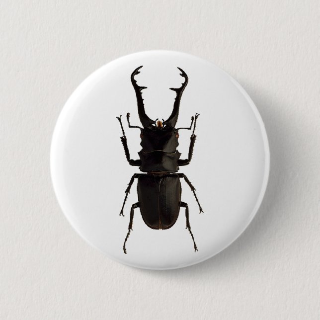 Badge Rond 5 Cm Béton de la tige (Devant)