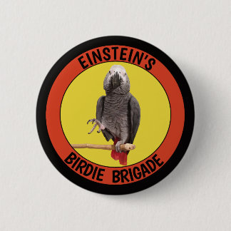 Badge Rond 5 Cm Birdie Brigade Congo African Grey Parrot