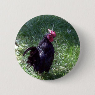 Badge Rond 5 Cm Blackbird le coq noir