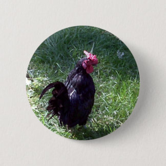 Badge Rond 5 Cm Blackbird le coq noir