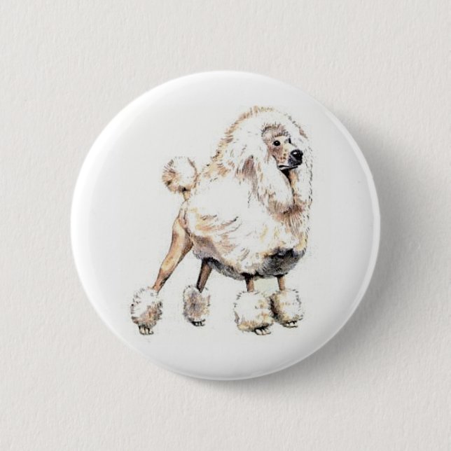 Badge Rond 5 Cm Blanc de caniche standard (Devant)