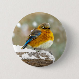 Badge Rond 5 Cm Bleuet de l'Est en neige - Photo originale