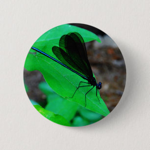 Badge Rond 5 Cm Blue Damselfly on a green leaf.