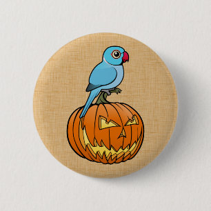 Badge Rond 5 Cm Blue Indian Ringneck sur citrouille Halloween