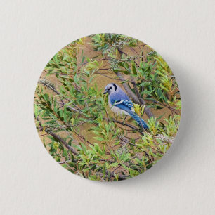 Badge Rond 5 Cm Blue Jay sur Southern Wax Myrtle