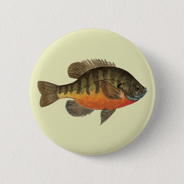 Badge Rond 5 Cm Bluegill Bream (Devant)