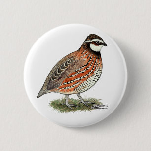 Badge Rond 5 Cm Bobwhite Quail