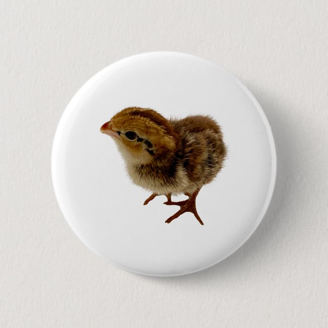 Badge Rond 5 Cm Bobwhite Quail Chick (Devant)