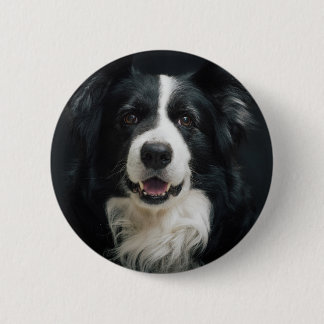 Badge Rond 5 Cm border collie