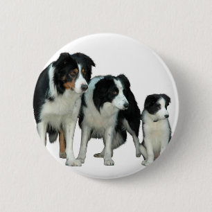 Badge Rond 5 Cm Border Collie Dogs