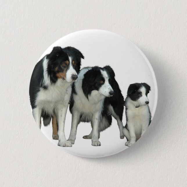 Badge Rond 5 Cm Border Collie Dogs (Devant)