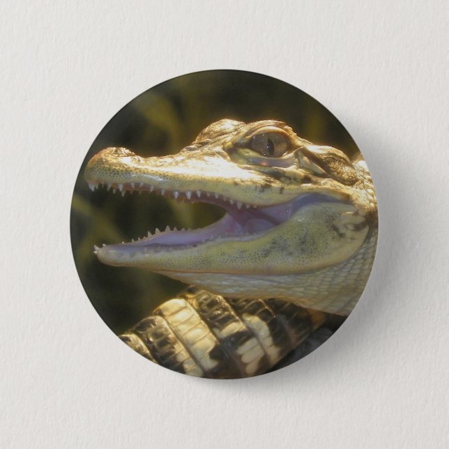 Badge Rond 5 Cm Bouche d'alligator américain ouverte (Devant)