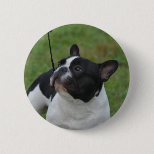 Badge Rond 5 Cm Bouledogue français noir et blanc