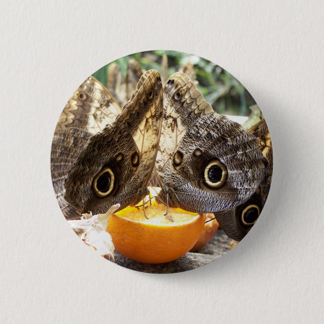 BADGE ROND 5 CM BOUTEILLES (Devant)
