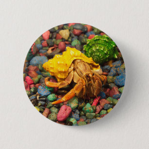 Badge Rond 5 Cm Bouton 01 de bernard l'ermite