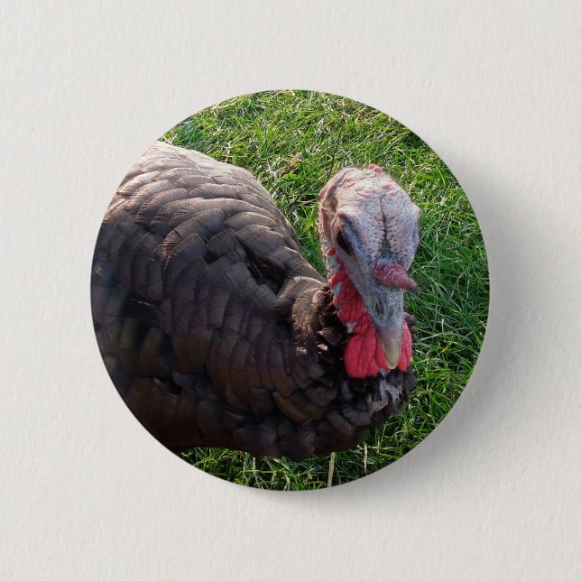 Badge Rond 5 Cm Bouton 1 d'acres de Wedrose (Devant)