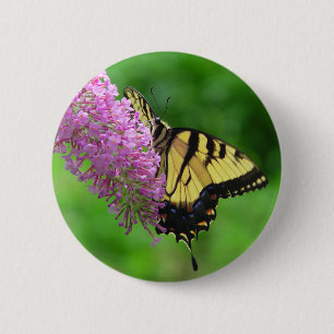 Badge Rond 5 Cm Bouton 3 de papillon de machaon