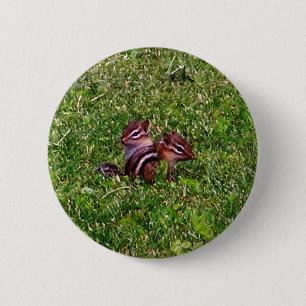 Badge Rond 5 Cm Bouton animal de première journée Chipmunks
