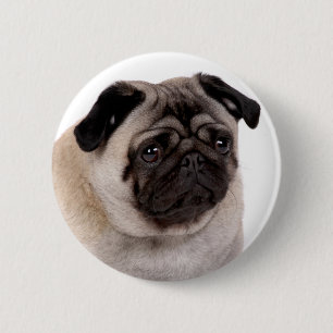 Badge Rond 5 Cm bouton avec le museau de carlin