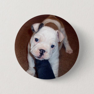 Badge Rond 5 Cm Bouton beau de Pinback de bouledogue