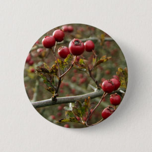 Badge Rond 5 Cm Bouton Berries