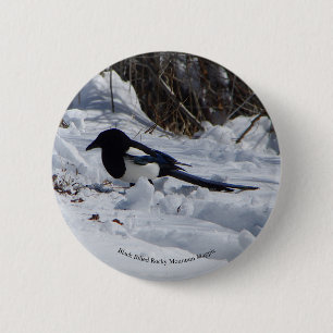Badge Rond 5 Cm Bouton Black Billed Rocky Mountain Magpie