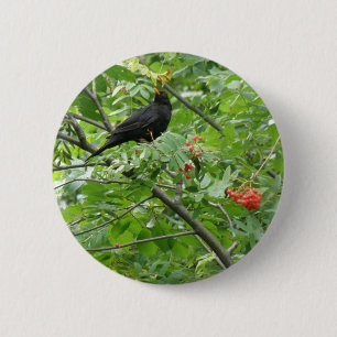 Badge Rond 5 Cm Bouton Blackbird et Berries
