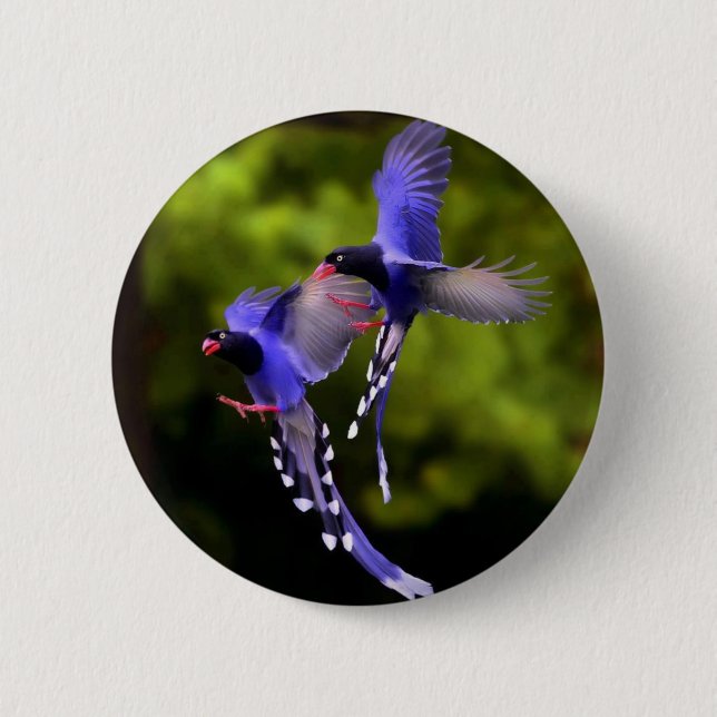 Badge Rond 5 Cm Bouton Bouton de vol aux beaux oiseaux violets (Devant)