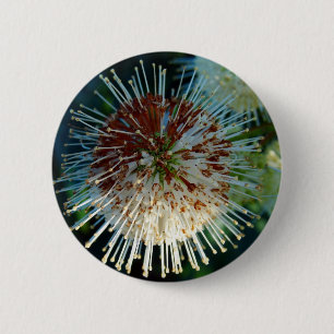 Badge Rond 5 Cm Bouton Bush