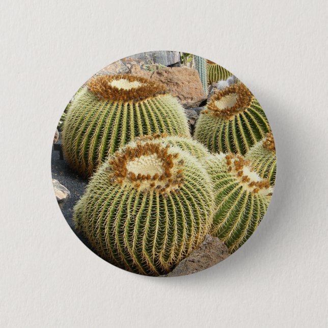 Badge Rond 5 Cm Bouton Cactus (Devant)
