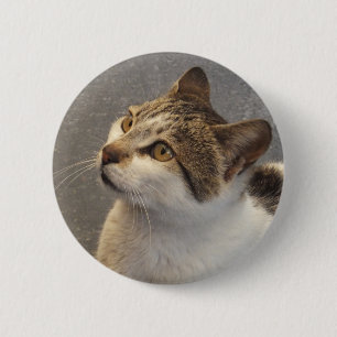 Badge Rond 5 Cm Bouton Cat