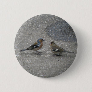 Badge Rond 5 Cm Bouton "Chaffinch Me nourrir"