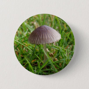 Badge Rond 5 Cm Bouton Champignons