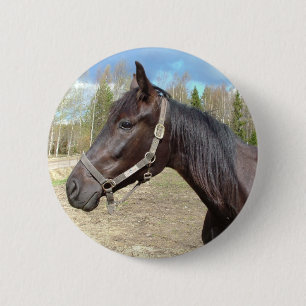 Badge Rond 5 Cm Bouton Cheval