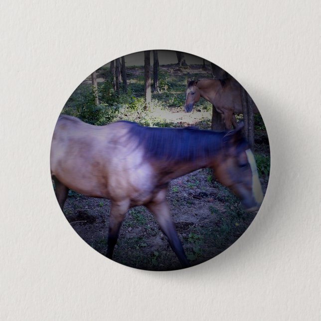 Badge Rond 5 Cm Bouton Cheval 2 (Devant)