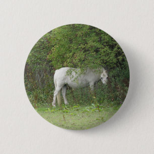 Badge Rond 5 Cm Bouton Cheval blanc timide